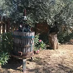 Casale Vincenzo *