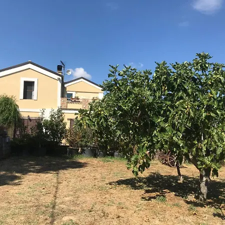 Casale Vincenzo * Collecorvino