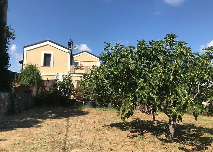 Casale Vincenzo * Collecorvino